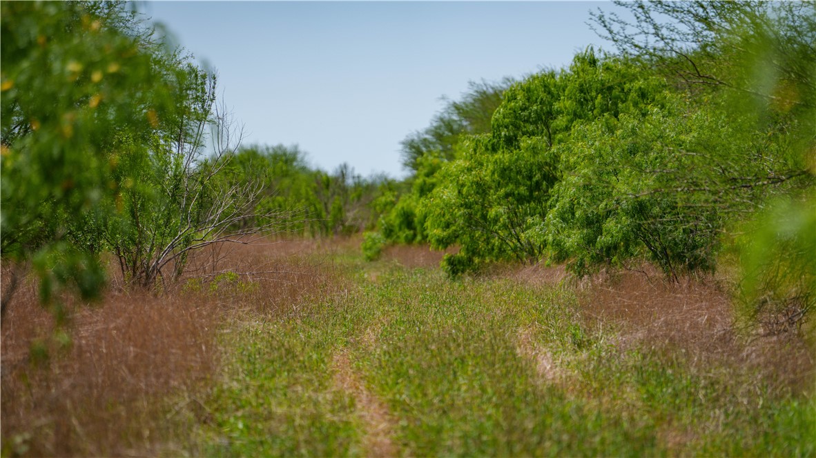 Tbd Fm-735 Property Photo 19