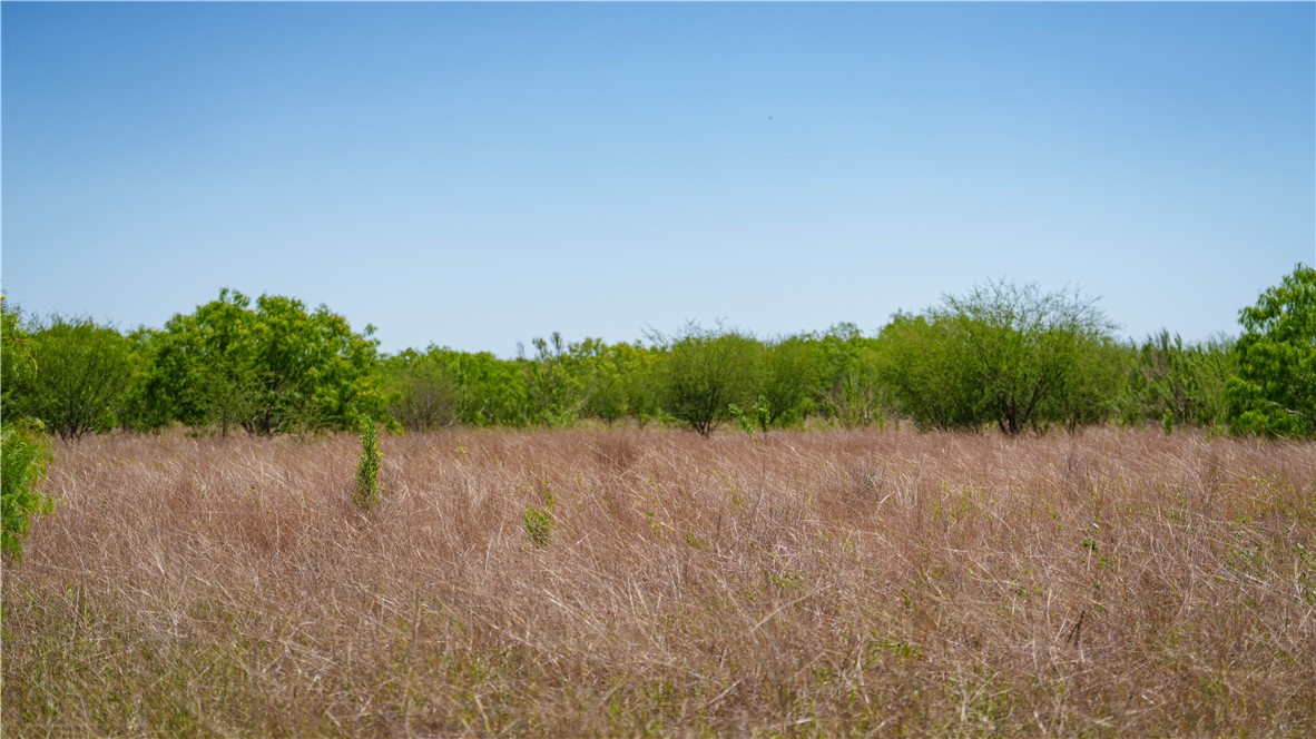 Tbd Fm-735 Property Photo 20