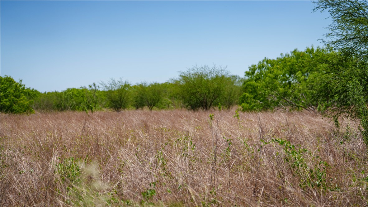 Tbd Fm-735 Property Photo 21