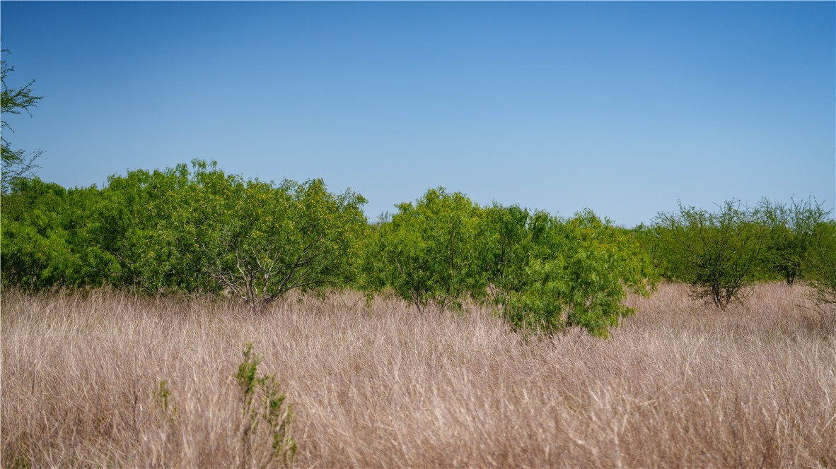Tbd Fm-735 Property Photo 28