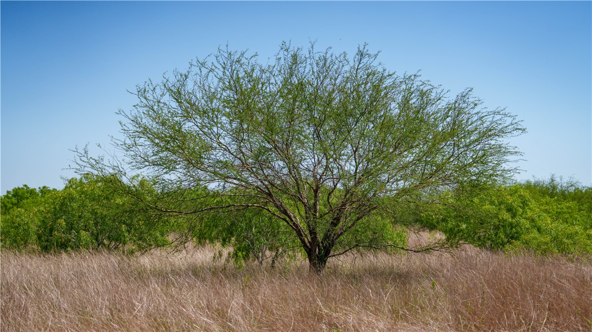 Tbd Fm-735 Property Photo 29
