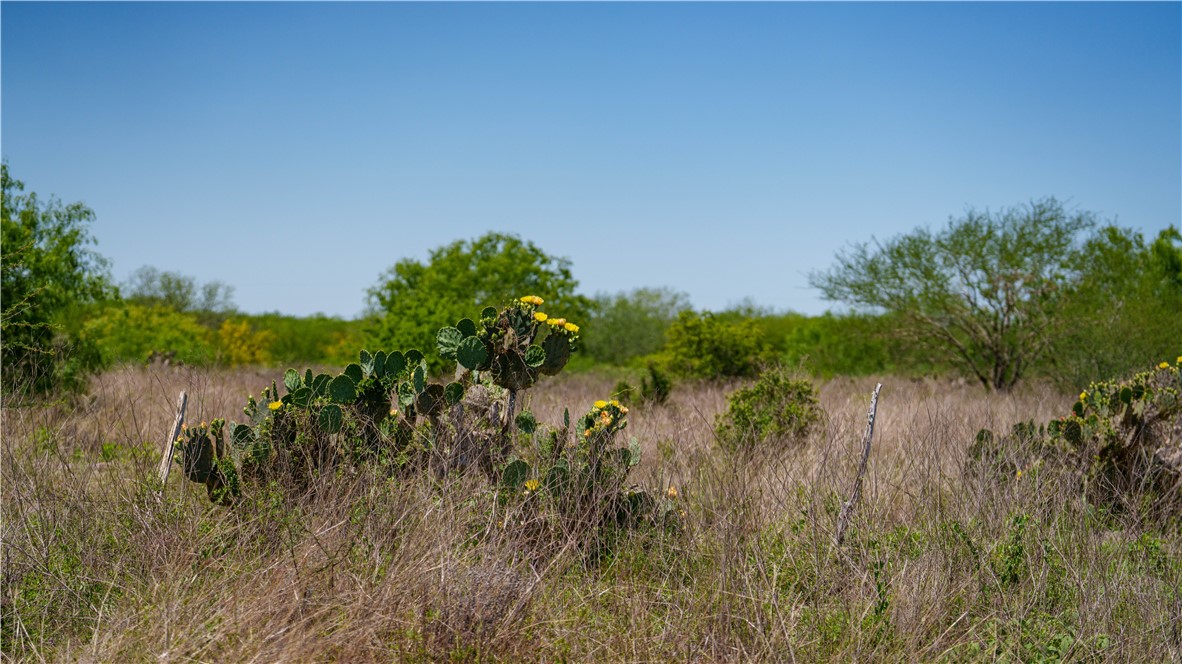 Tbd Fm-735 Property Photo 32
