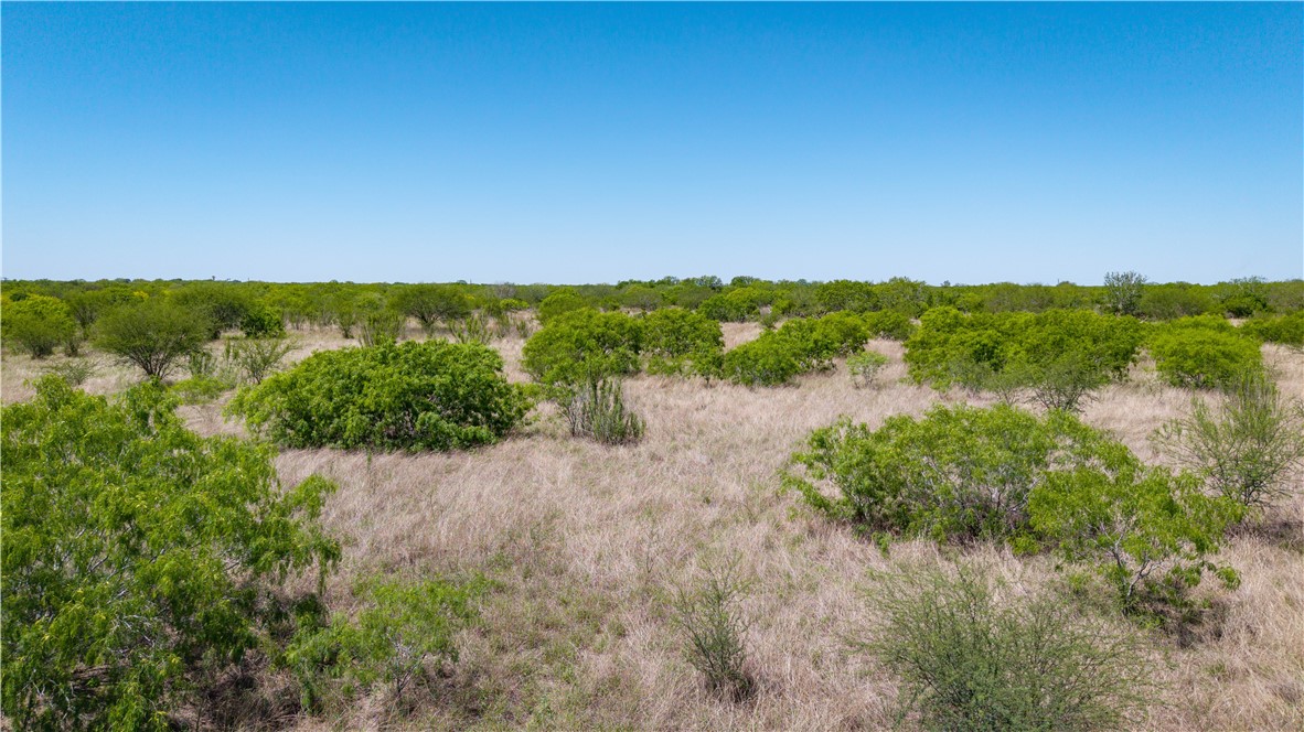 Tbd Fm-735 Property Photo 39