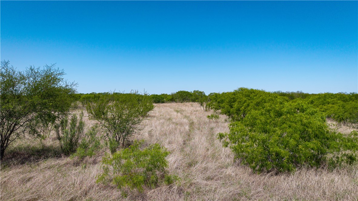 Tbd Fm-735 Property Photo 40