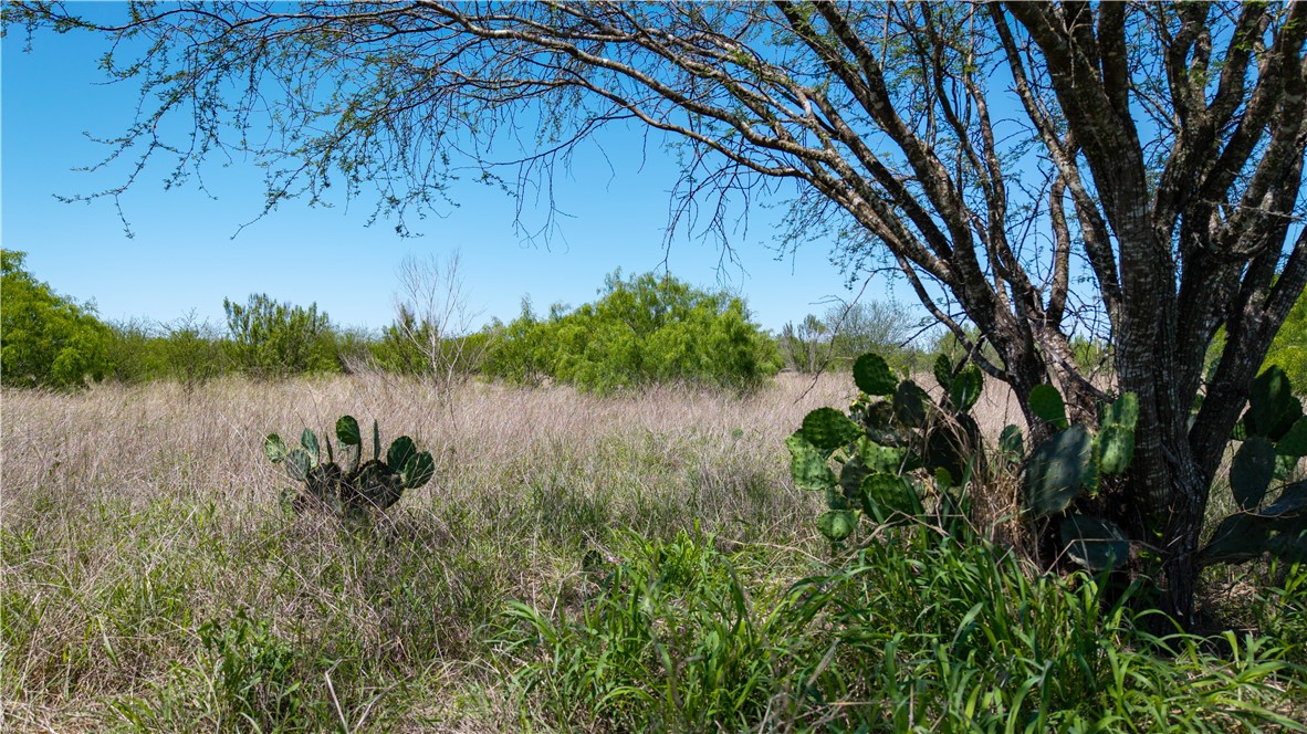 Tbd Fm-735 Property Photo 3