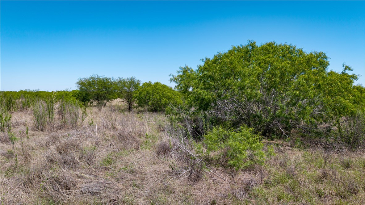 Tbd Fm-735 Property Photo 30