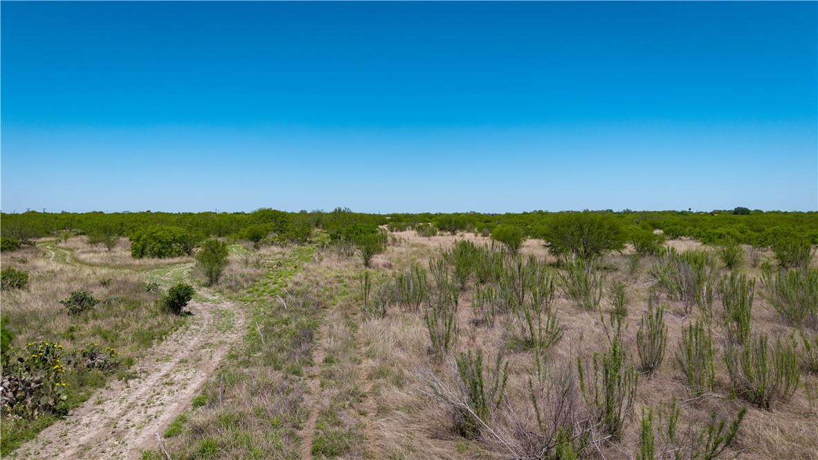 Tbd Fm-735 Property Photo 31