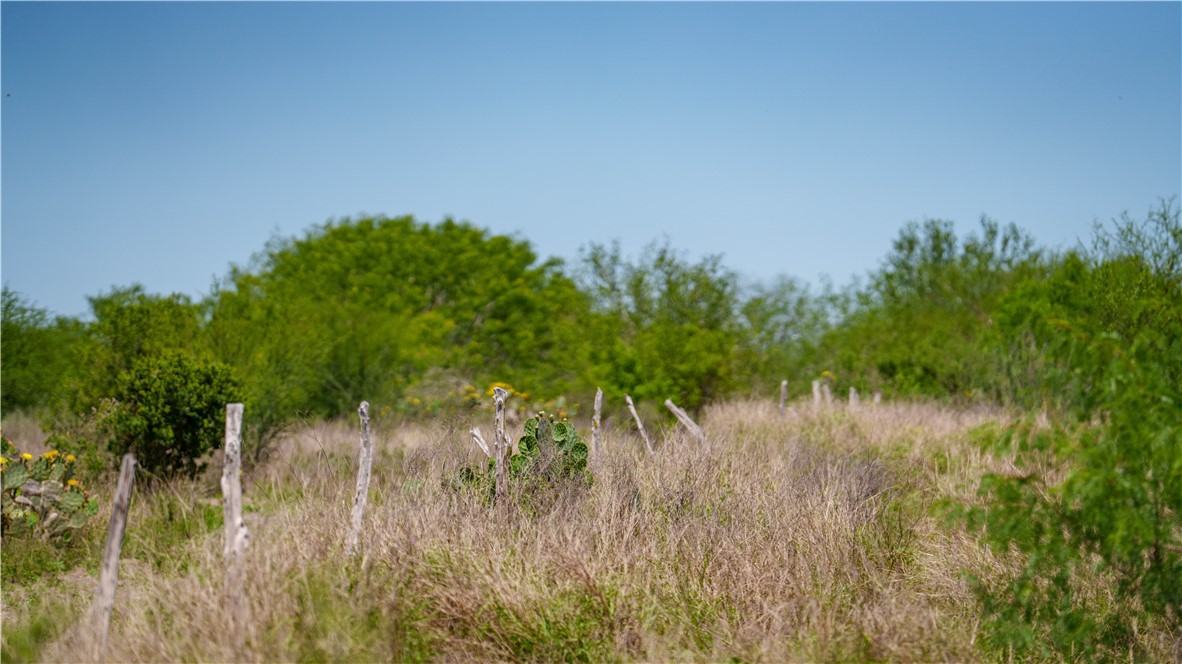 Tbd Fm-735 Property Photo 37
