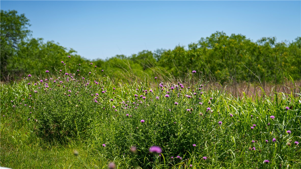 Tbd Fm-735 Property Photo 39