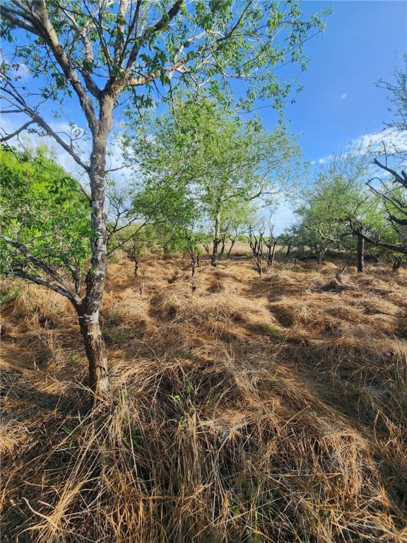 8914 Mcgloin Property Photo 2
