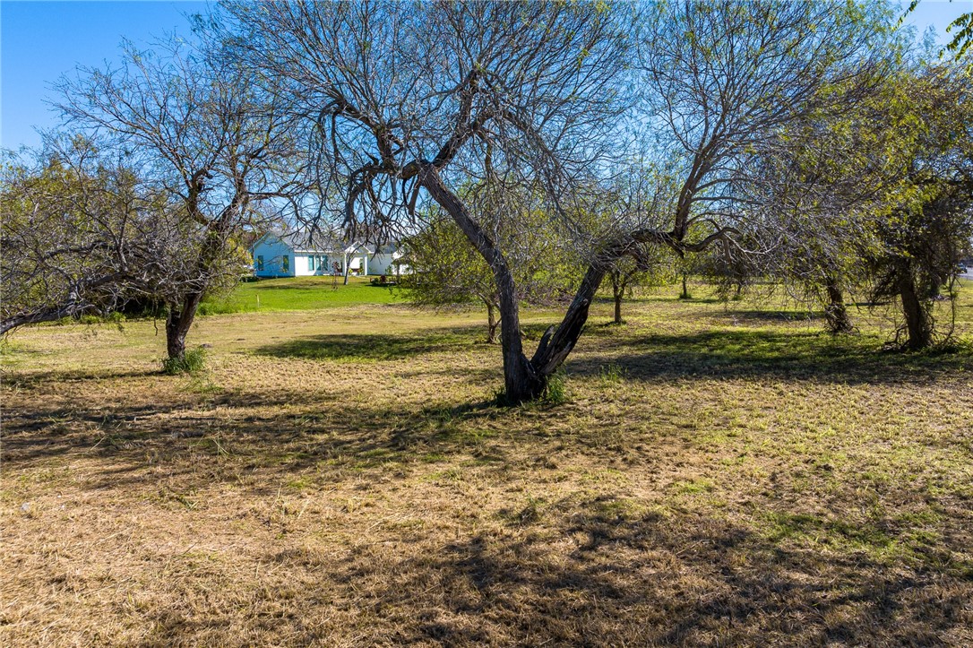 1350 Fm 1069 Property Photo 14