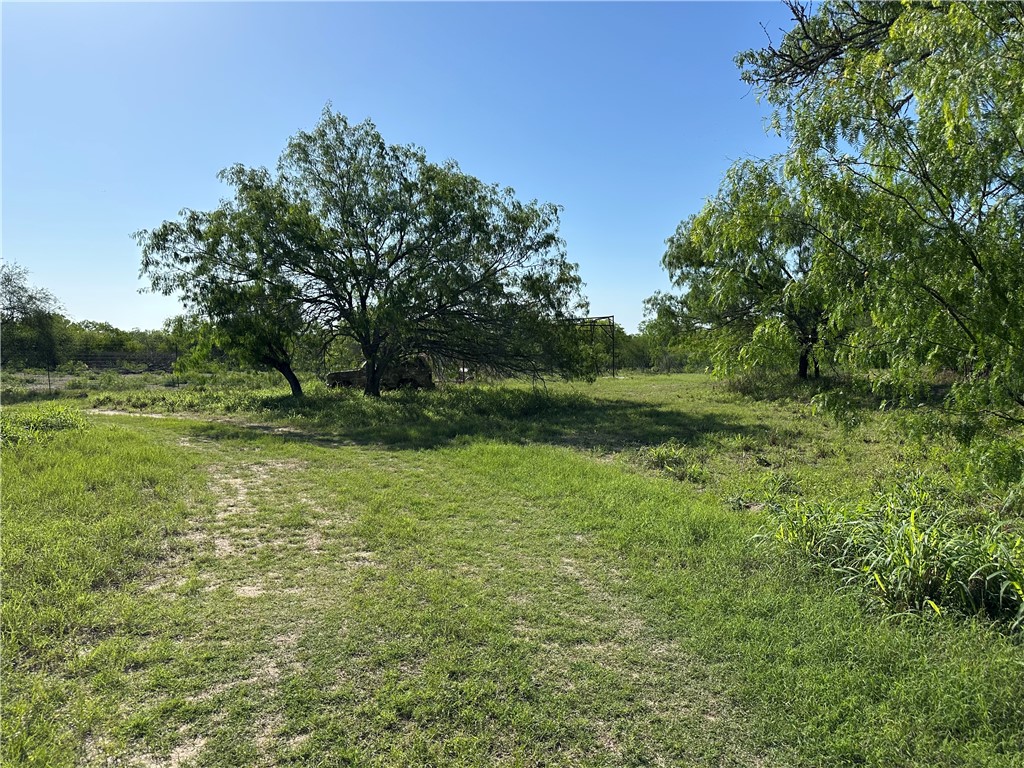 0 County Rd 241 Fm 624 Property Photo 3