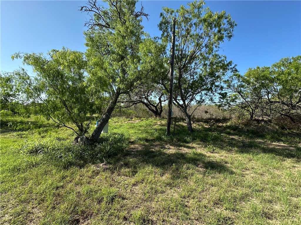 0 County Rd 241 Fm 624 Property Photo 5
