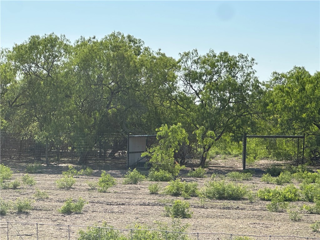 0 County Rd 241 Fm 624 Property Photo 10