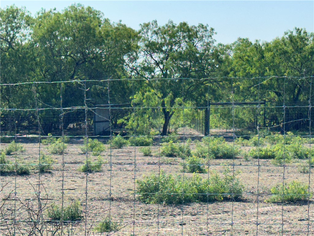 0 County Rd 241 Fm 624 Property Photo 13