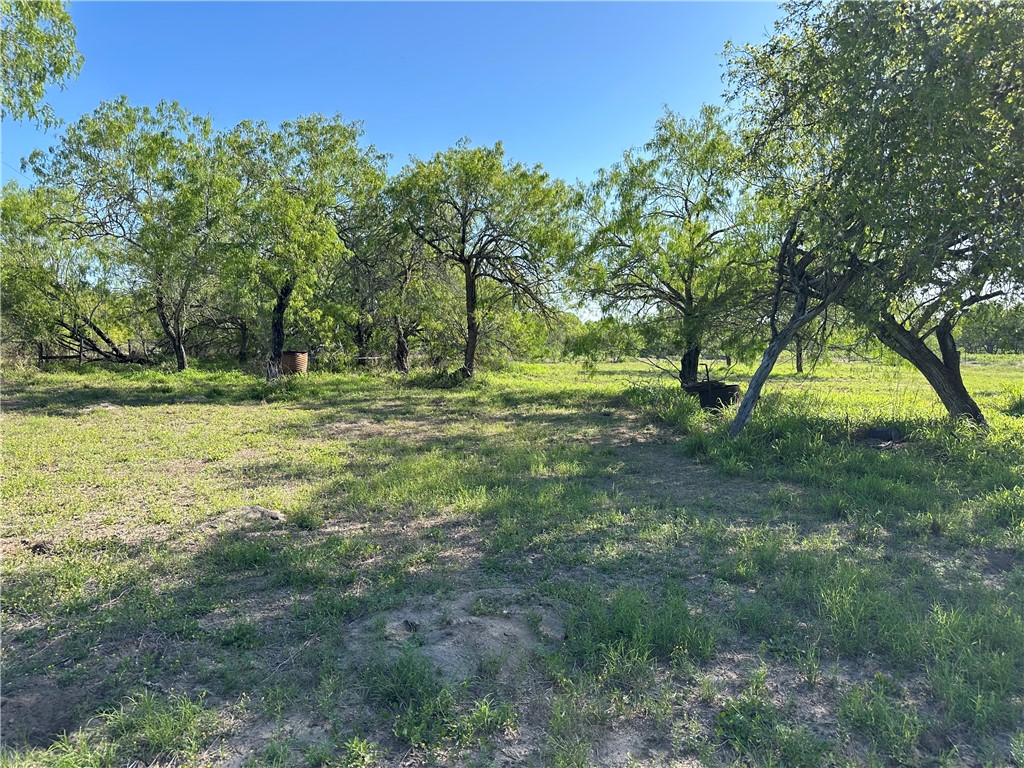 0 County Rd 241 Fm 624 Property Photo 14
