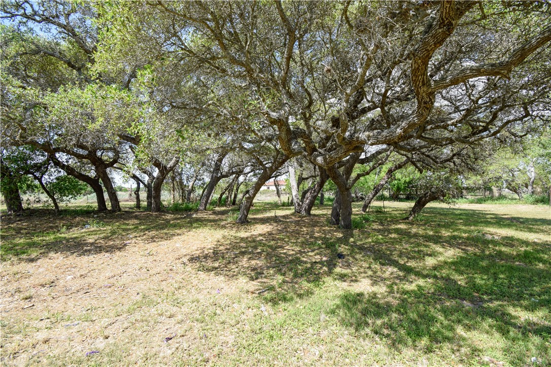 2565 Bentwood Lane Property Photo 22