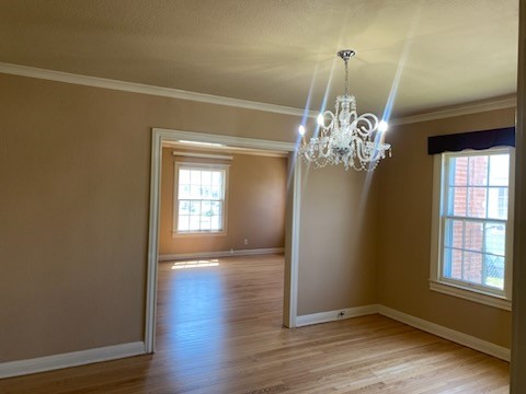 434 Atlantic St Property Photo 12