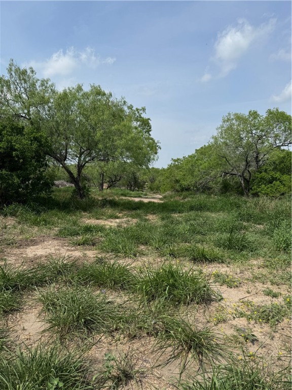 5525 Ravine Property Photo 3