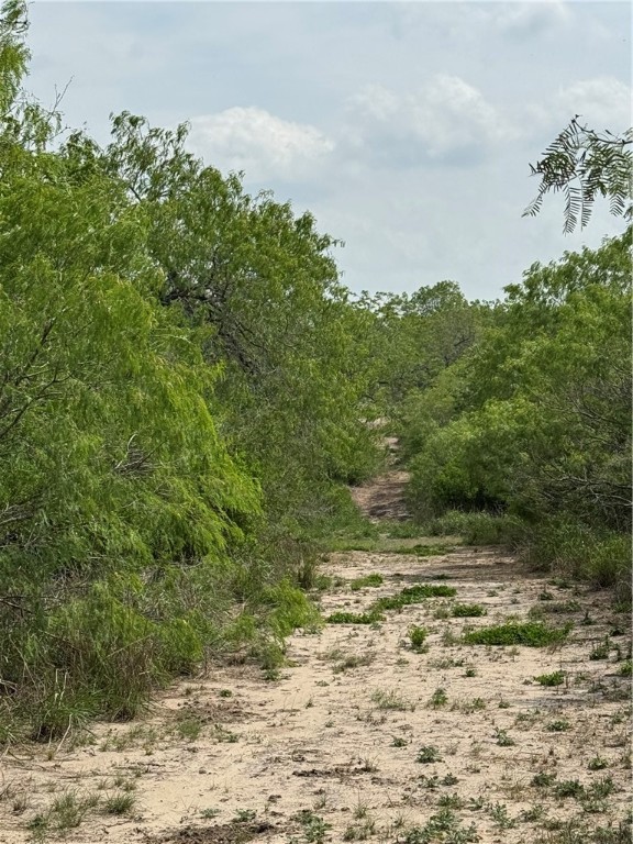 5525 Ravine Property Photo 7