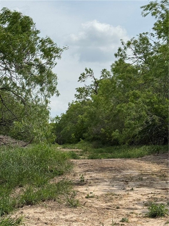 5525 Ravine Property Photo 9