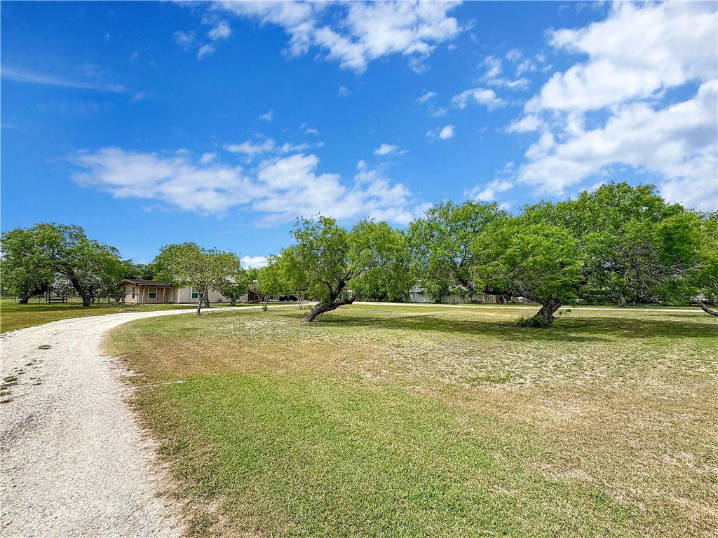 9443 Up River Property Photo 36