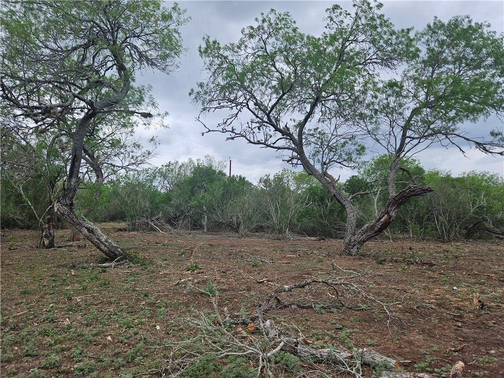 000 Cr 104/toro Rd Property Photo 5