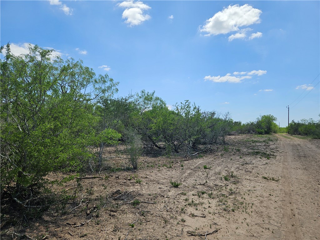 000 Cr 104/toro Rd Property Photo 15