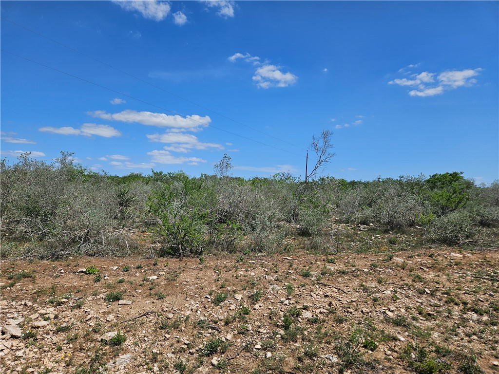 000 Cr 104/toro Rd Property Photo 17