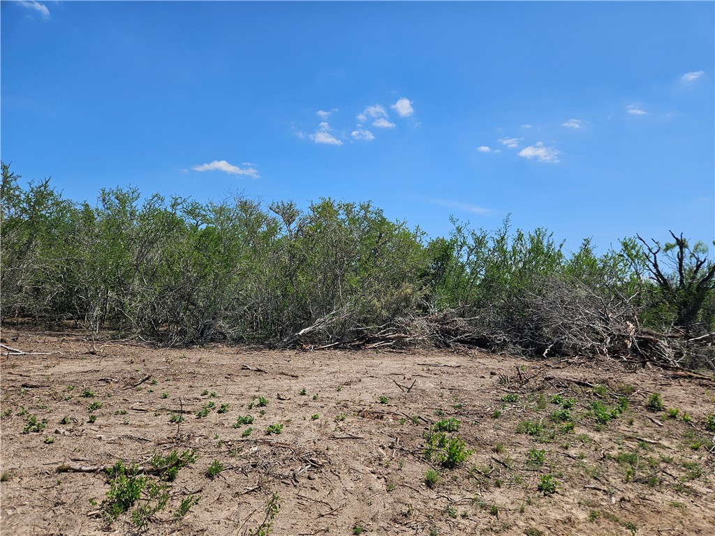 000 Cr 104/toro Rd Property Photo 18