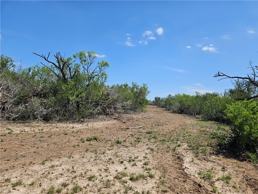 000 Cr 104/toro Rd Property Photo 19