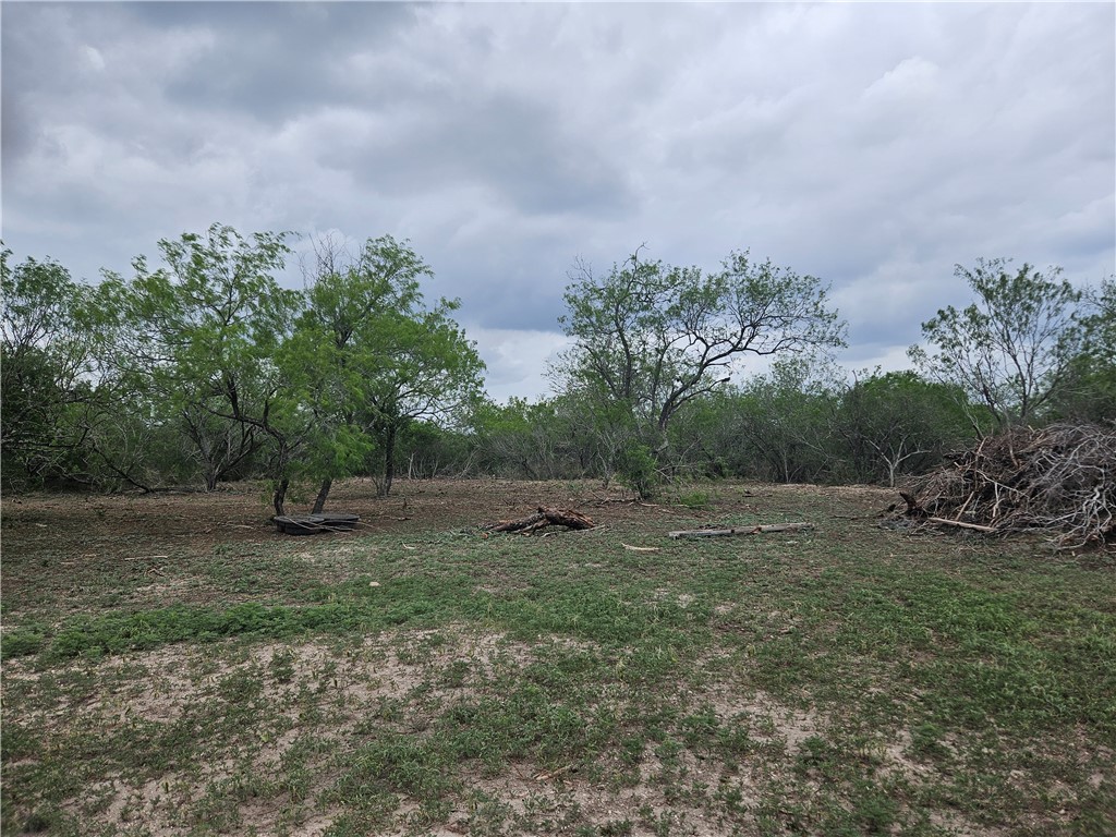 000 Cr 104/toro Rd Property Photo 21