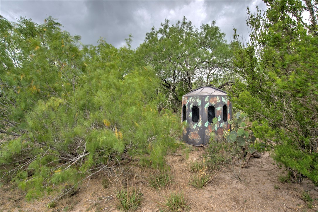 00 Cr 336 Property Photo 6