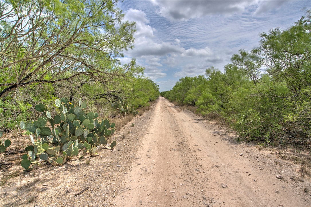 00 Cr 336 Property Photo 8