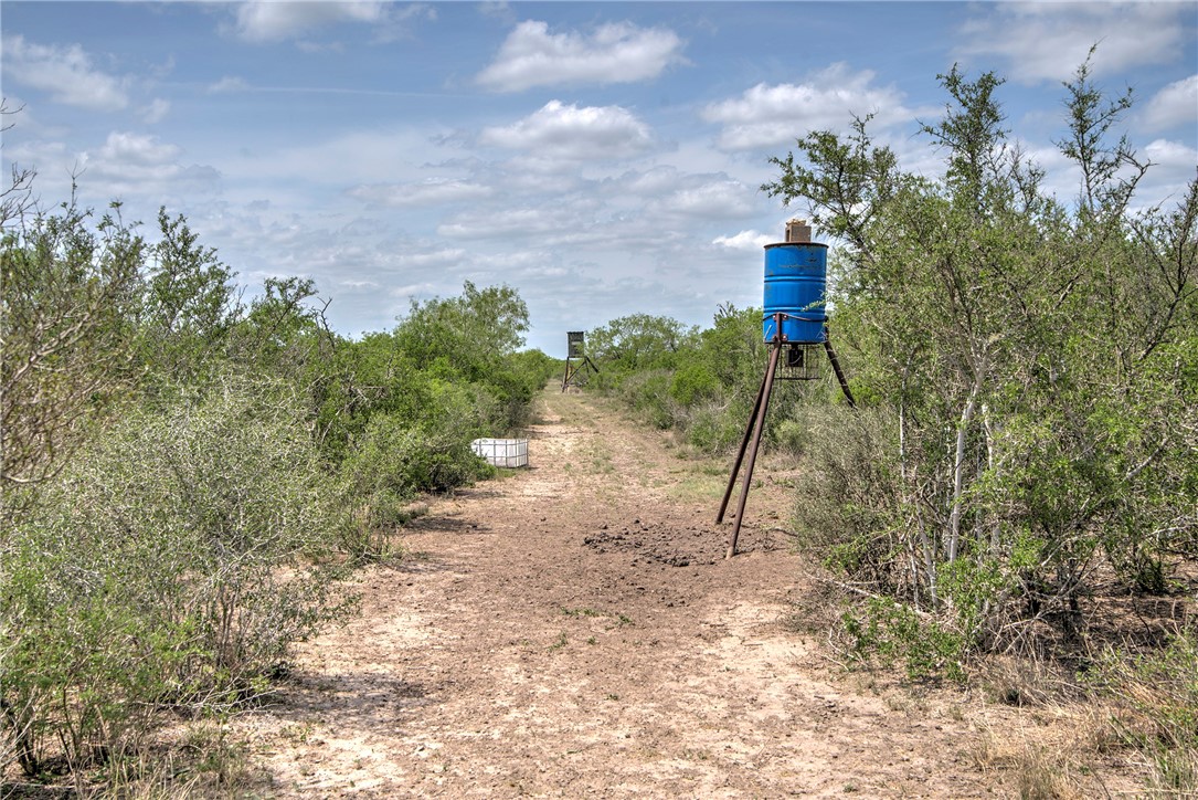 00 Cr 336 Property Photo 12