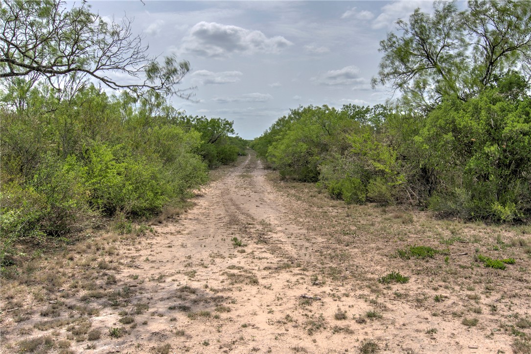 00 Cr 336 Property Photo 16