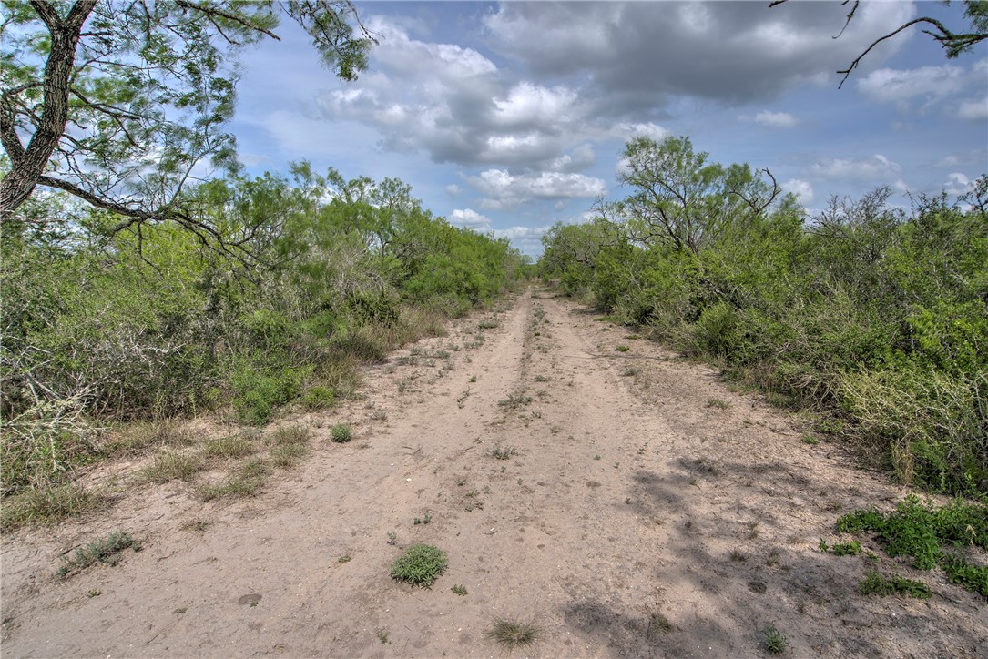 00 Cr 336 Property Photo 21