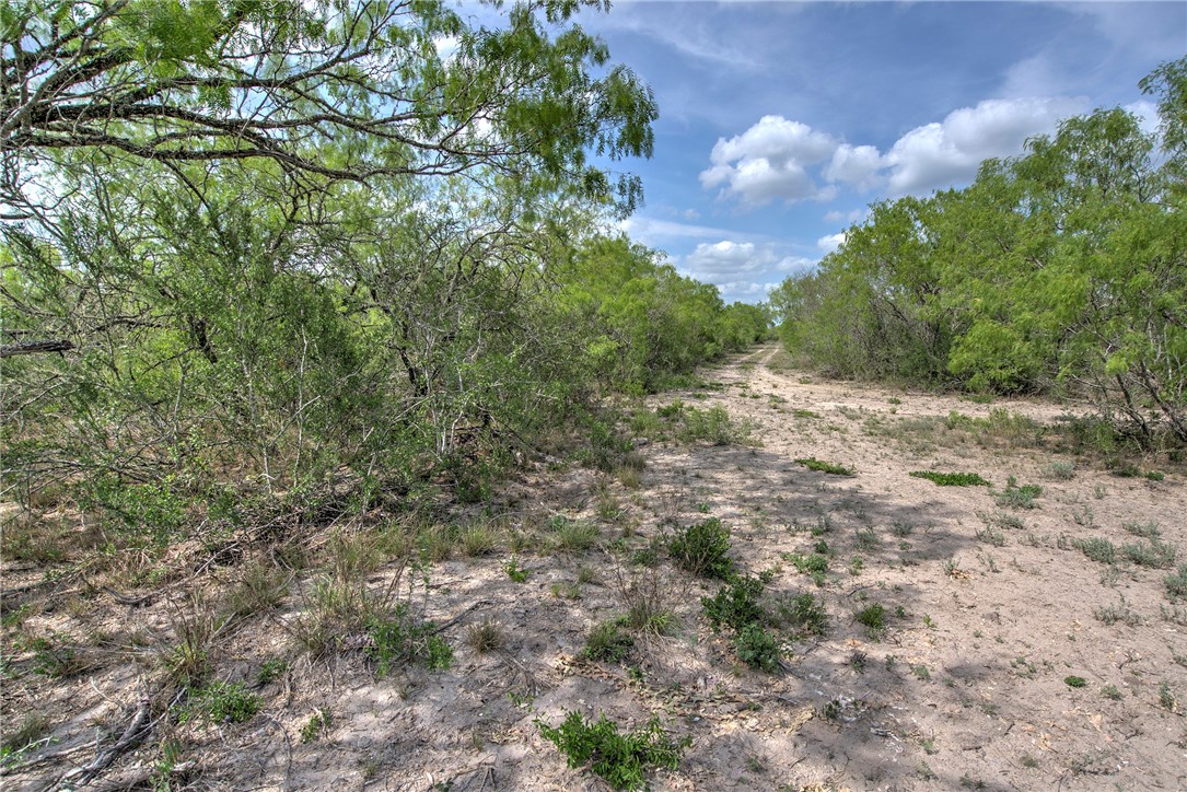 00 Cr 336 Property Photo 22