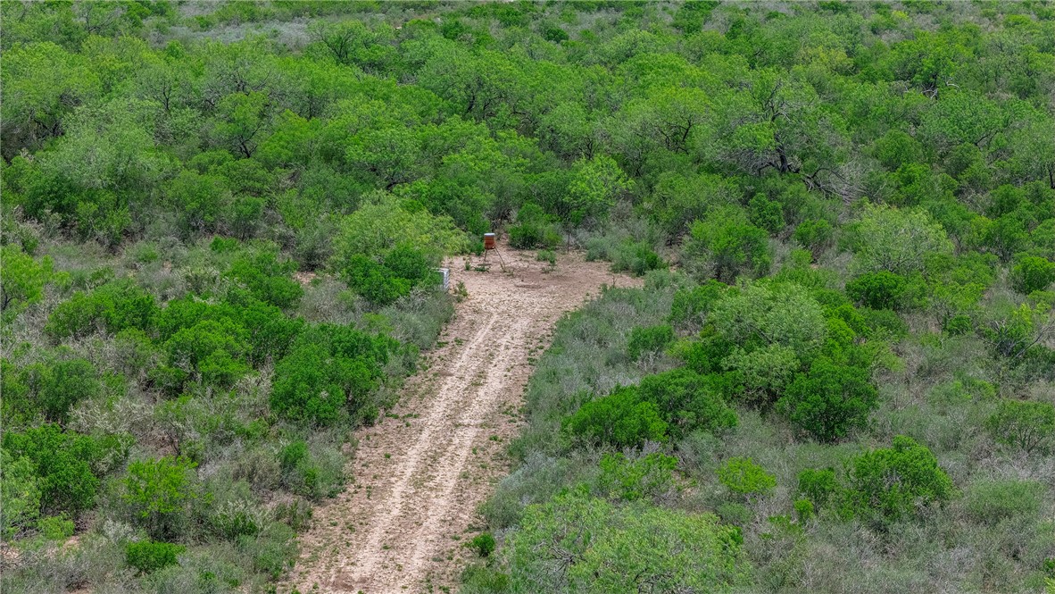 00 Cr 336 Property Photo 28