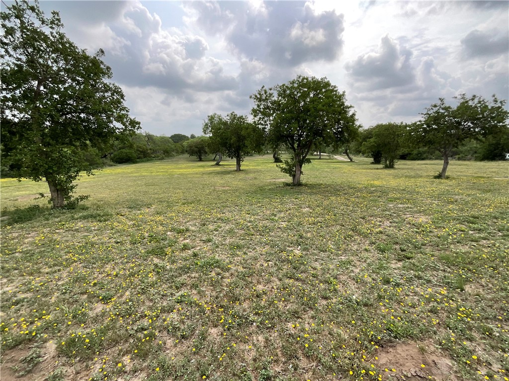 5889 Hidden Valley Loop Property Photo 28