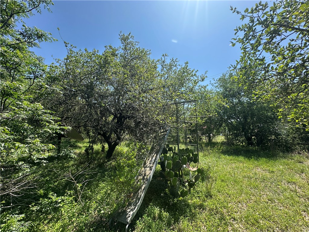 5851 Yucca Trai Property Photo 6