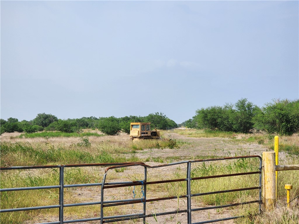 0 County Road 1144 Property Photo