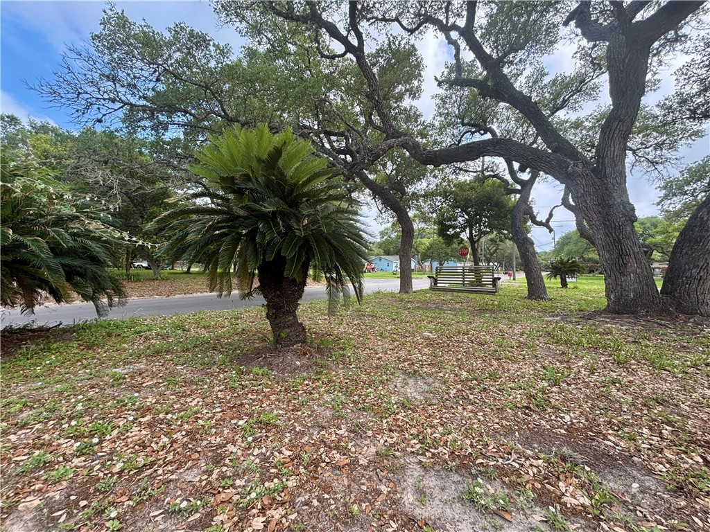 2551 Henrietta Pl Property Photo 31