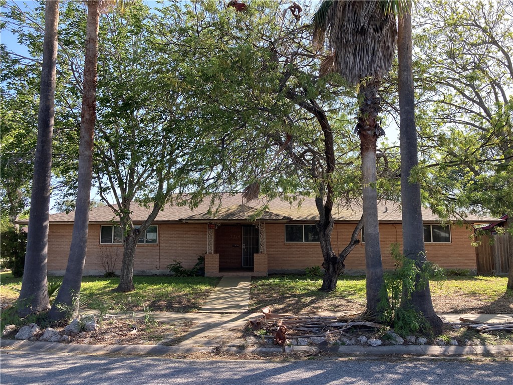 3214 Casa De Palmas Dr Property Photo 1