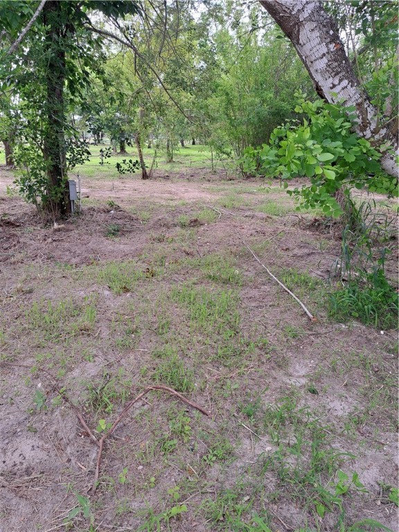 2330 N Fm 1069 Property Photo 7