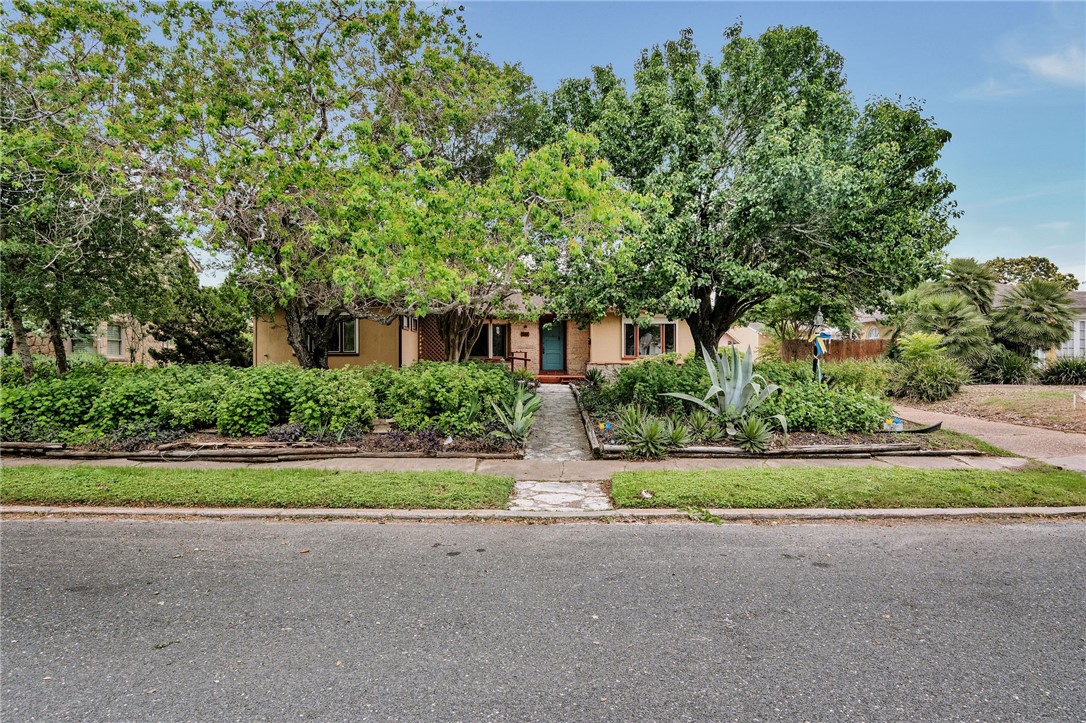 241 Oleander Ave Property Photo 3