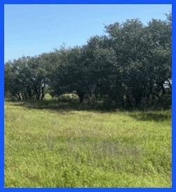 Tr 16 Private Road Property Photo
