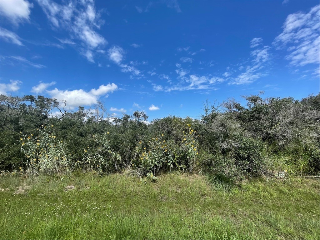 488 Live Oak Property Photo 1