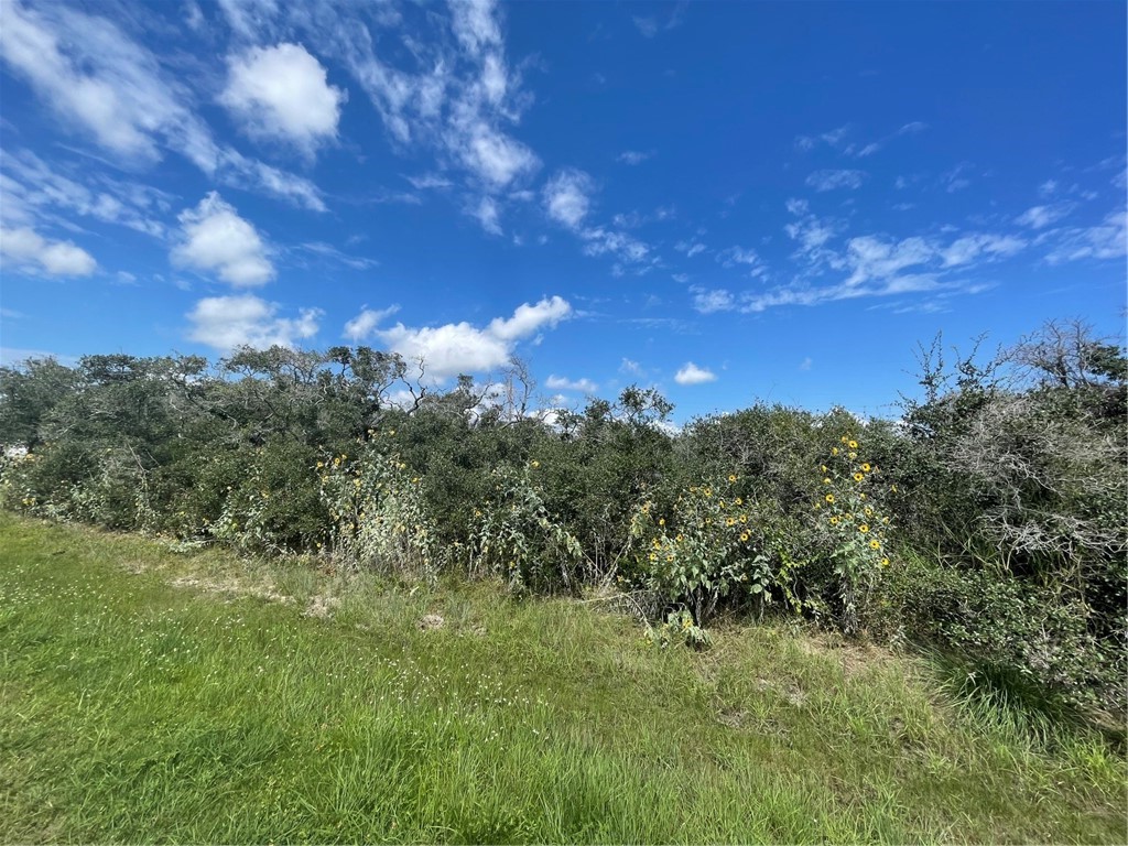 488 Live Oak Property Photo 2