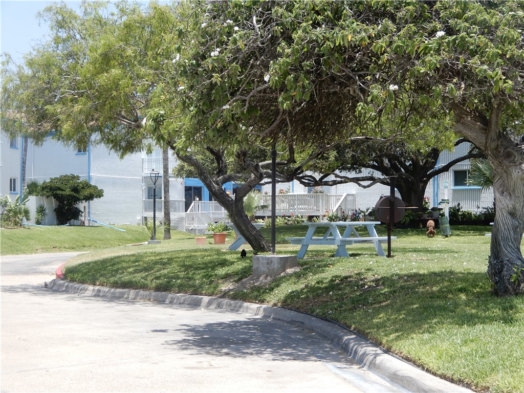 14300 S. Padre Island Dr 159 Property Photo 19